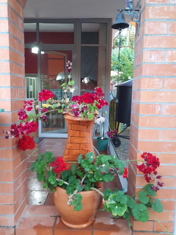 Quintinha Dos Cedros Villa Alfandega Da Fe Luaran gambar