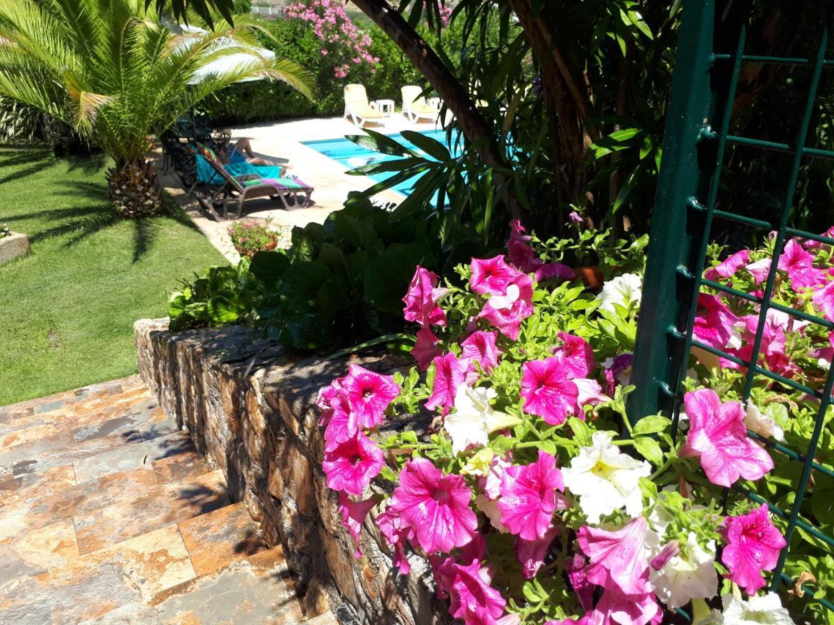 Quintinha Dos Cedros Villa Alfandega Da Fe Luaran gambar