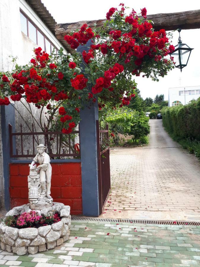 Quintinha Dos Cedros Villa Alfandega Da Fe Luaran gambar