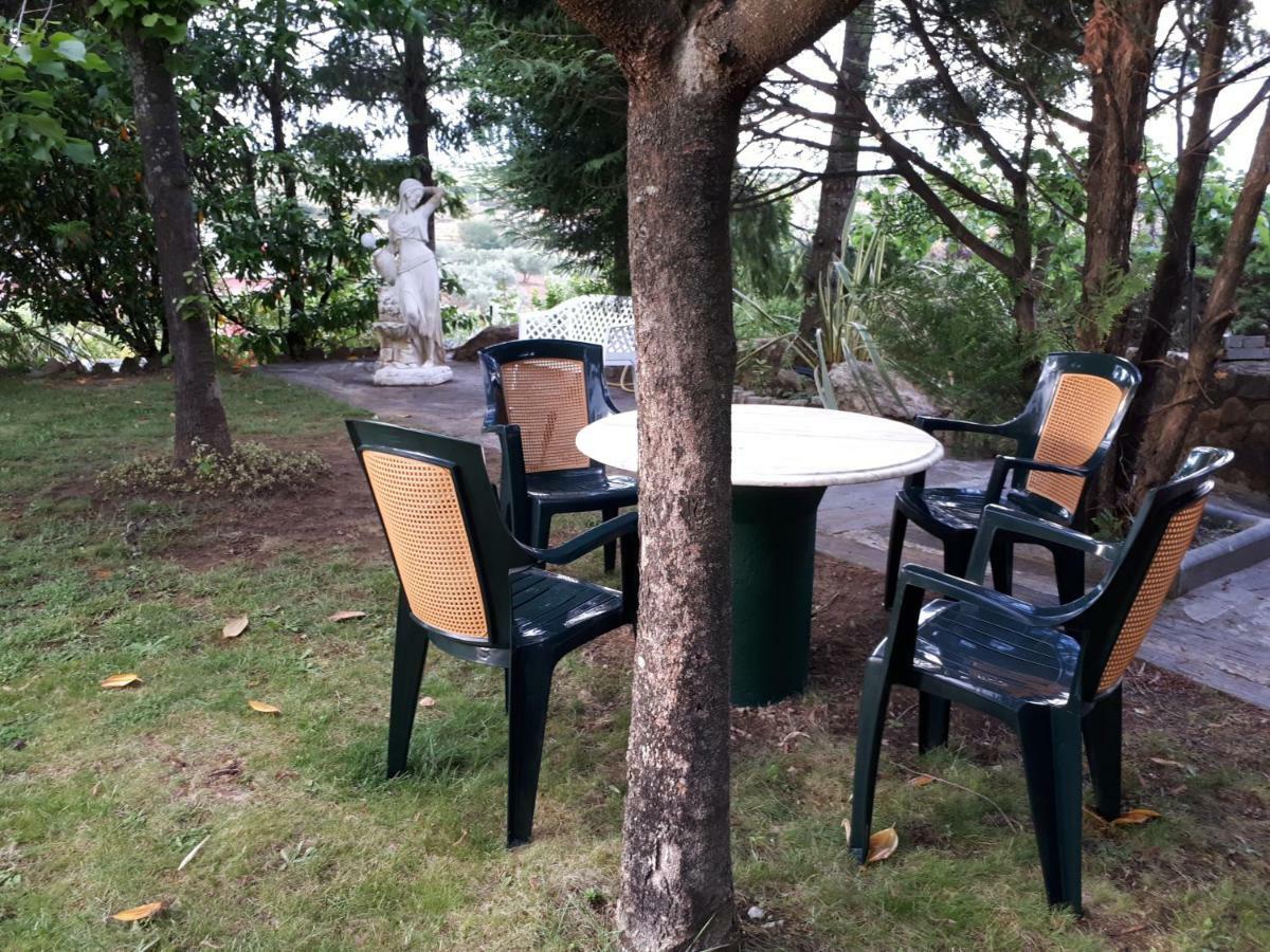 Quintinha Dos Cedros Villa Alfandega Da Fe Luaran gambar